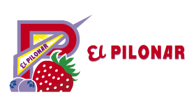 El Pilonar SCA